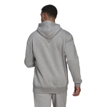 adidas Hoodie Essentials Feelvivid Cotton Grey Men